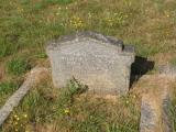 image of grave number 737742